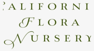 California Flora Nursery, Fulton, Ca - California Flora Nursery #6023778