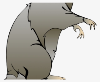 Cartoon Rat Pictures - Rat Clip Art #6025816