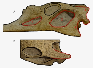 Download - Rock #6030617