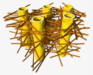 Illustration Of The Complex Biostructure Of Dentin #6031203