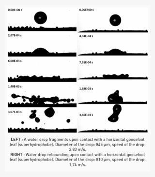 Waterdrop Fragment - Parallel #6031335