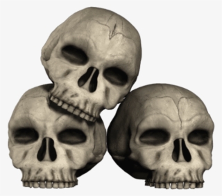 Free Png Transparent Skulls Png Images Transparent - Transparent Skulls #6031755
