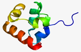 Cytosol #6032807