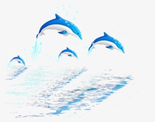 Dolphin #6033756