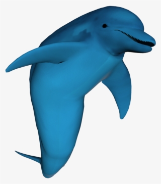 3d Dolphin Png Clipart Free - Stock Photo Dolphin #6034175