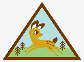 From Astronaut Jan Davis And Award-winning Entertainer - Brownie Eco Friend Badge #6034360