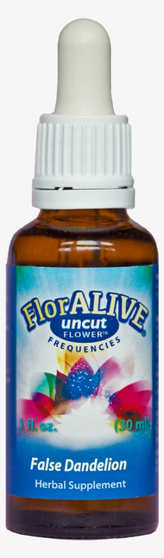 False Dandelion - Egyptian Lotus #6034931