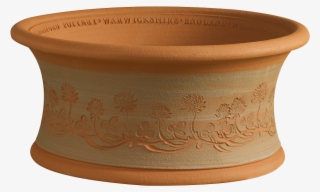 Rhs White Clover Flowerpot #6036022