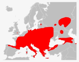 Unikeon Levinneisyys - Glis Glis Uk Distribution #6037124