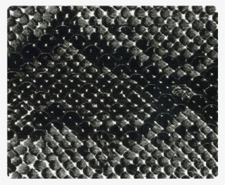 Quick View - Black And White Snake Swatch #6039277