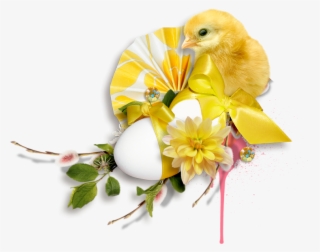 Duck #6039738