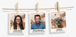 Team Mobile Line5 - Irish Soft-coated Wheaten Terrier #6040480