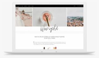 Marigold #6043849 Marigold #6043849