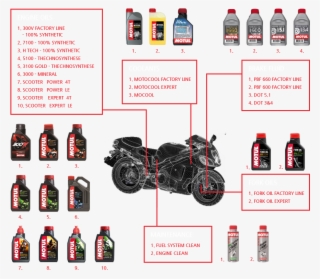 Motul Motorcycle Oils - Glass Bottle #6045835