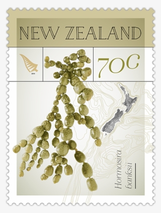 Single Stamp - Seaweed On Postage Stamps #6046125