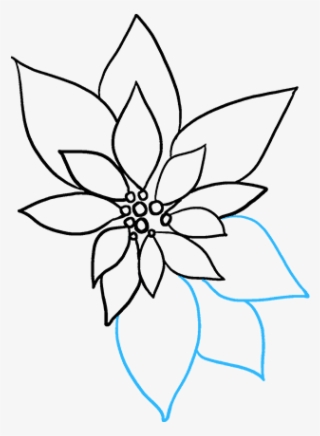 How To Draw Poinsettia #6046250