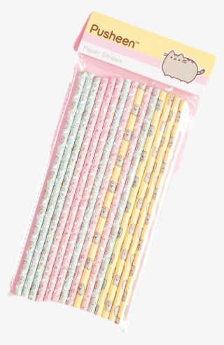 Load Image Into Gallery Viewer, Pusheen Box Summer #6046968