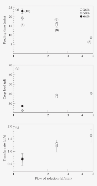 Number Of Considered Bees In Parenthesis - Number #6050298