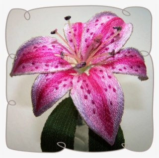 Stargazer Lily - Embroidery #6051055