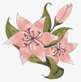 手絵2輪の花がpngの透明な素材。唯美。美しい - Cartoon #6051820