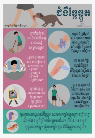 The Educational Poster About The Treatments For Your - Blog #6053330