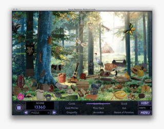 Tranquil Forest Scape #6055095