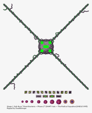 Giant Bacteria - Diagram #6055901