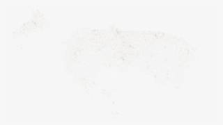 Qualitative Research #6056495