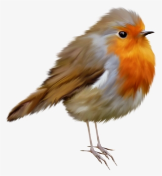 Awakening Mega - Robin Clip Art Free #6056770