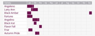 Availability Chart #6058743 Availability Chart #6058743
