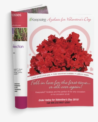 Submit A Comment Cancel Reply - Mountain Laurel #6059103