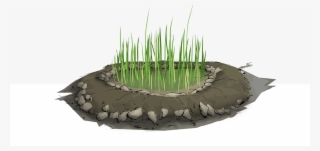 Make Use Of Nutrients, And Then Release The Cleaner - Sweet Grass #6059632