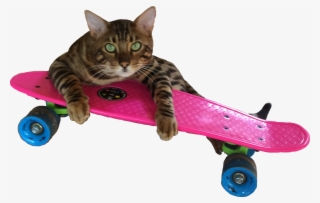 Report Abuse - Penny Board #6060264