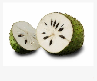 Soursop #6062691