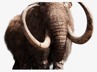 Far Cry Png Transparent Images - Far Cry Primal Mammoth #6065101