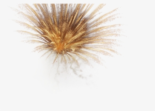 Please Rotate Your Device For The Optimal Experience - Fireworks #6066114