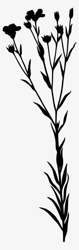 This Free Icons Png Design Of Linseed #6070721