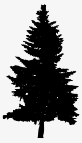 Free Png Pine Tree Silhouette Png Images Transparent - Pine Tree Vector Png #6071191