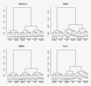 Download - Hierarchical Clustering #6071350