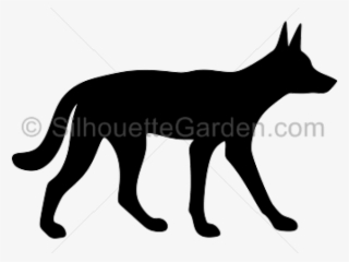 Dingo Silhouette Cliparts - Dingo Silhouette #6072002