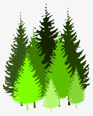 Cartoon Pine Trees 5, Buy Clip Art - Pine Tree Clip Art #6072403