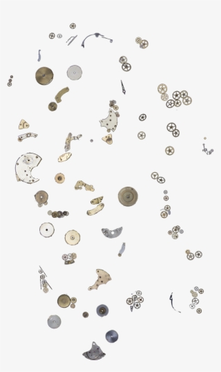 Hospital Facade - Insect #6074842