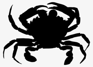 Download Png - Animal Live In Water #6075246