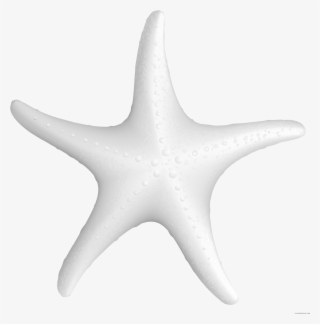 Clip Art Library Star Fish Techflourish Collections #6076667