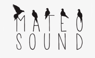 Mateo Sound - Mateo Sound Studio #6078804
