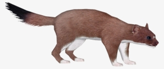 Bigfoot Transparent Zt2 Clip Art Transparent - Zoo Tycoon 2 #6081054