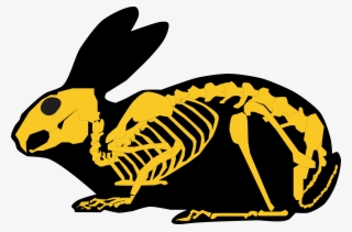 Gold Rabbit Skeleton And Silhouette - Rabbit #6081440
