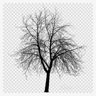 Creepy Tree Silhouette Png #6081715 Creepy Tree Silhouette Png #6081715