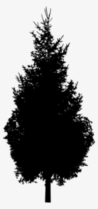 Pine Tree Silhouette - Pine Tree Silhouette Png #6082531 Pine Tree Silhouette - Pine Tree Silhouette Png #6082531