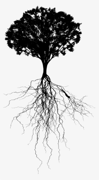 Tree With Deep Roots Silhouette - Tree Silhouette Root Png #6083070 Tree With Deep Roots Silhouette - Tree Silhouette Root Png #6083070